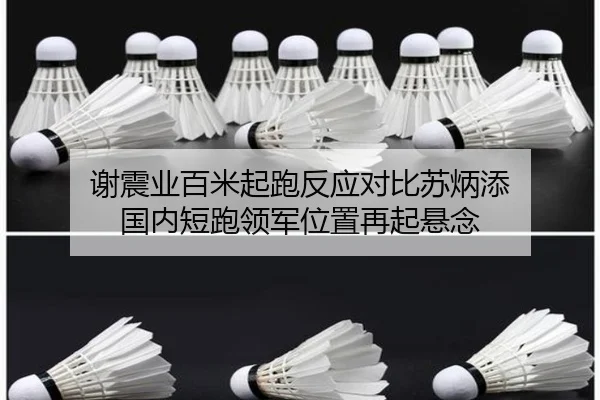 谢震业百米起跑反应对比苏炳添 国内短跑领军位置再起悬念
